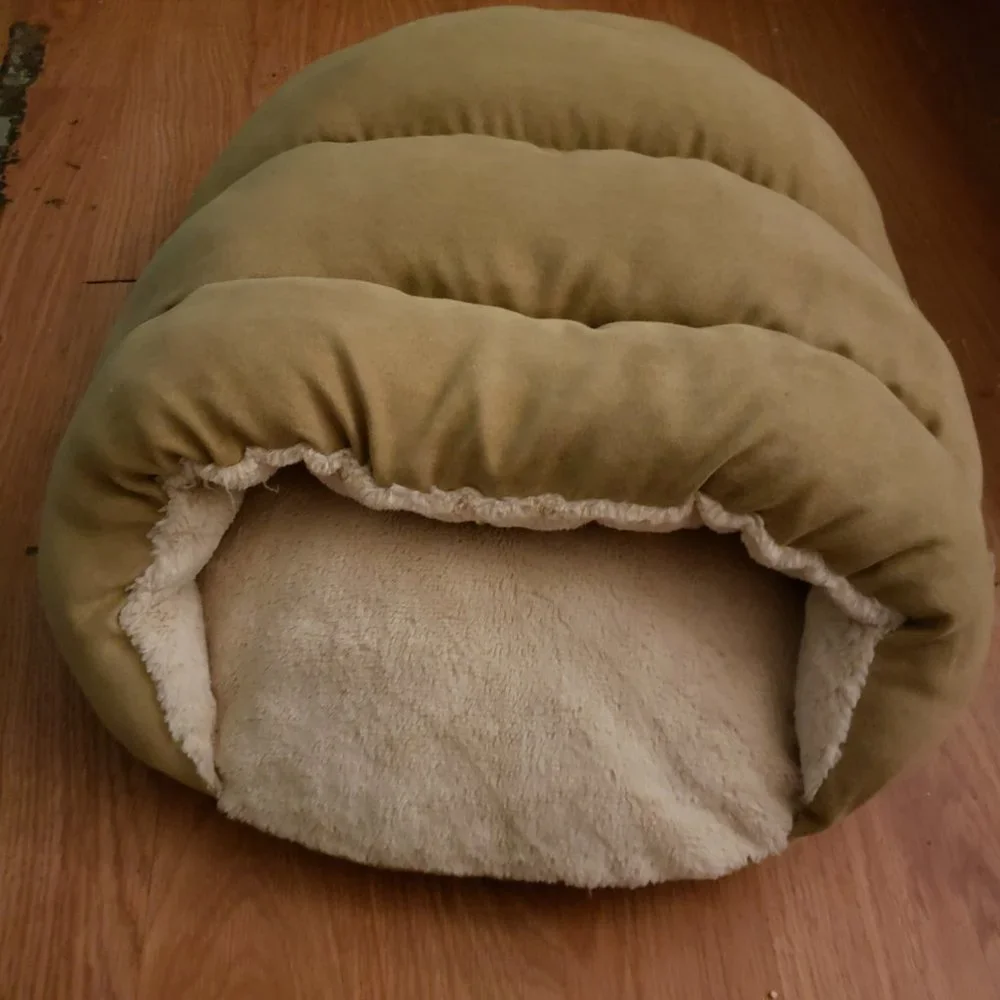 Dog bed